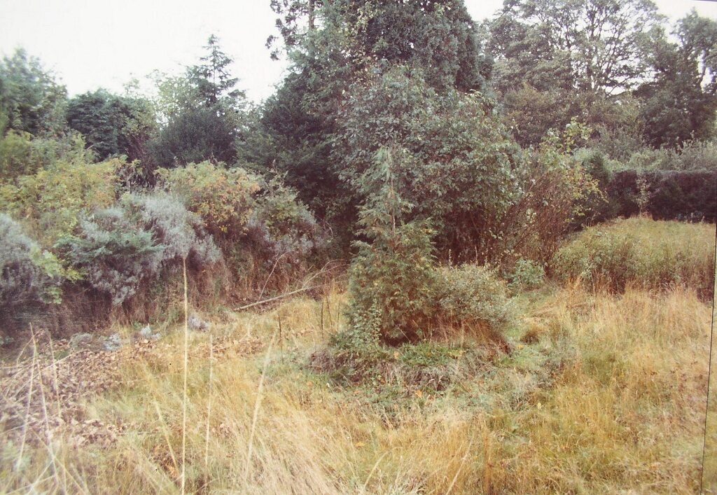 Rose Garden 1984