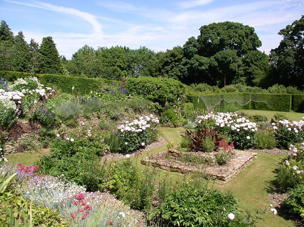 Rose Garden 2019