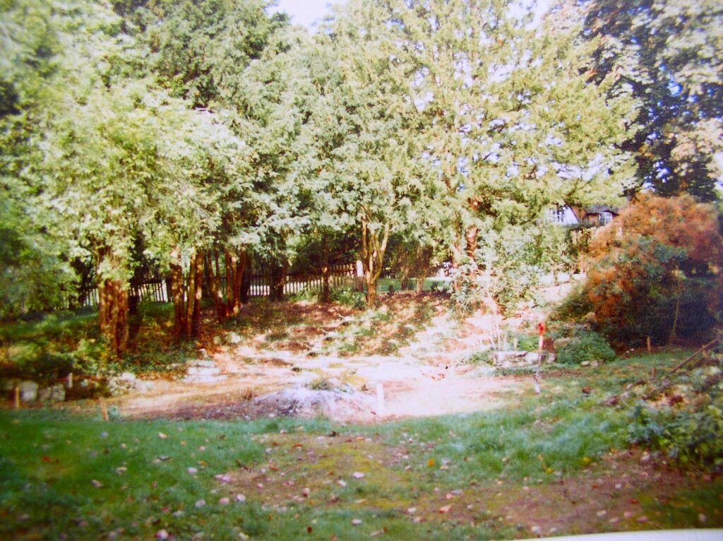Wild Garden Pond 1984