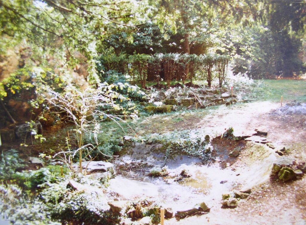 Wild Garden Pond 1984